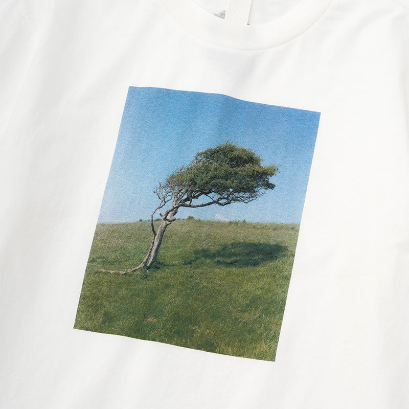MHL. x FUJI ROCK FESTIVAL'25 TREE PRINT T-SHIRT – cotwohk MHL. x FUJI ROCK FESTIVAL'25 TREE PRINT T-SHIRT – cotwohk