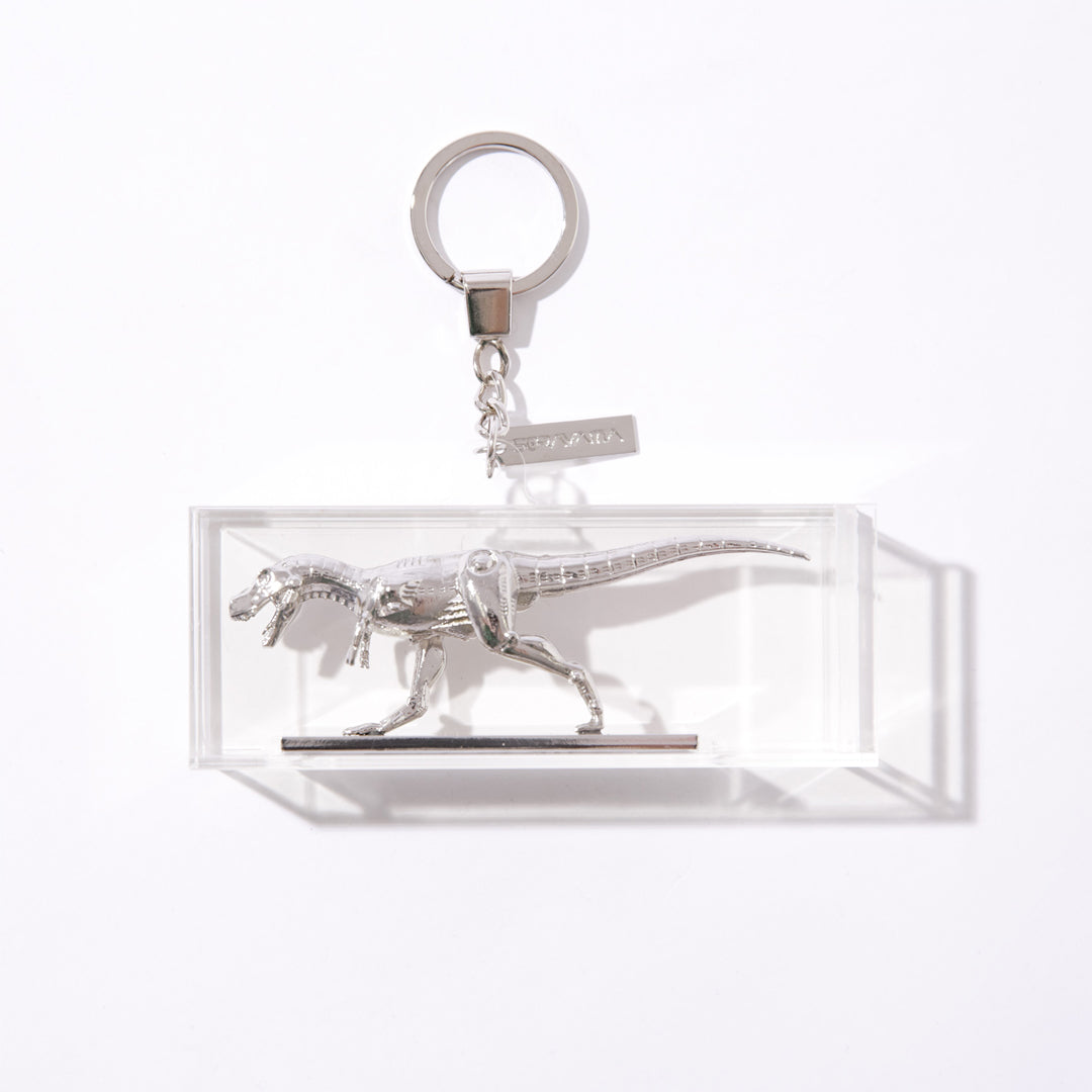 HAJIME SORAYAMA 空山基x 2G TREX KEY CHAIN – cotwohk