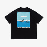 DESCENDANT 25S/S ENVIRONMENT ORGANIC COTTON SS [ 251ATDS-CSM14 ]