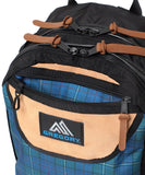 BEAMS BOY x GREGORY VINTAGE DITCH DAY CHECK - 26L