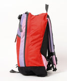 BEAMS BOY x GREGORY DAY PACK