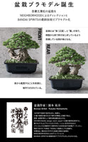 NEIGHBORHOOD SRL x BANDAI SPIRITS . BONSAI MODEL KIT