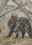 DESCENDANT 26A/W COECE LS [ 262ATDS-CSM01S ]