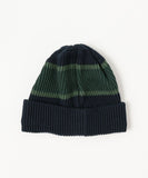 Pilgrim Surf+Supply x ROTOTO Stripe Beanie