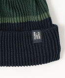 Pilgrim Surf+Supply x ROTOTO Stripe Beanie