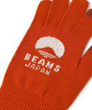 BEAMS JAPAN x tet. Logo Glove Vol.2