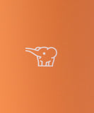 BEAMS JAPAN x Zojirushi Straw Tumbler 720ml