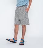 THE NORTH FACE PURPLE LABEL NP Jacquard Field Shorts [ NT4401N ]