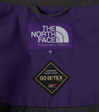 THE NORTH FACE PURPLE LABEL GORE-TEX Field Jacket [ N25FA024 ]