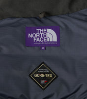 THE NORTH FACE PURPLE LABEL GORE-TEX Field Down Jacket [ N25FA049 ]
