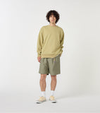 THE NORTH FACE PURPLE LABEL Double Peak Tuck Field Shorts [ N26SD076 ]
