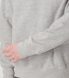 [ Pre-order ] THE NORTH FACE PURPLE LABEL Field Crewneck Sweatshirt [ N26SH059 ]