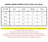 BEAMS JAPAN STORM FLEECE (TM) Crew Neck