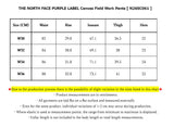 THE NORTH FACE PURPLE LABEL Canvas Field Work Pants [ N26SC061 ]