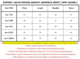 [ Pre-order ] SOPHNET. 26A/W VINTAGE GRAPHIC CREWNECK SWEAT [ SPNT-262068 ]