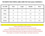 THE NORTH FACE PURPLE LABEL GORE-TEX Field Jacket [ N25FA024 ]