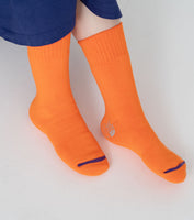 THE NORTH FACE PURPLE LABEL Pack Field Socks 2P [ NN8307N ]