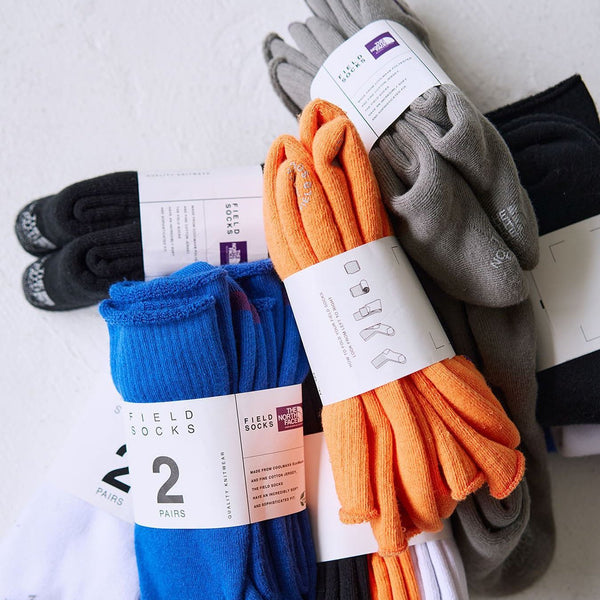 THE NORTH FACE PURPLE LABEL Pack Field Socks 2P [ NN8307N ]