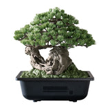 NEIGHBORHOOD SRL x BANDAI SPIRITS . BONSAI MODEL KIT