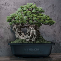 NEIGHBORHOOD SRL x BANDAI SPIRITS . BONSAI MODEL KIT