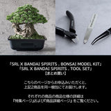 NEIGHBORHOOD SRL x BANDAI SPIRITS . BONSAI MODEL KIT & TOOL SET