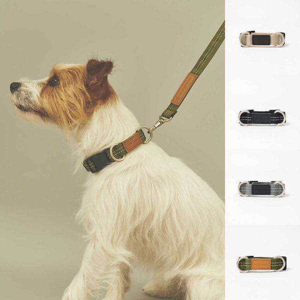 master-piece PET COLLAR (M/S) No.310005 / 310006 cotwo