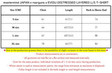 mastermind JAPAN x roarguns x EVISU DISTRESSED LAYERED L/S T-SHIRT