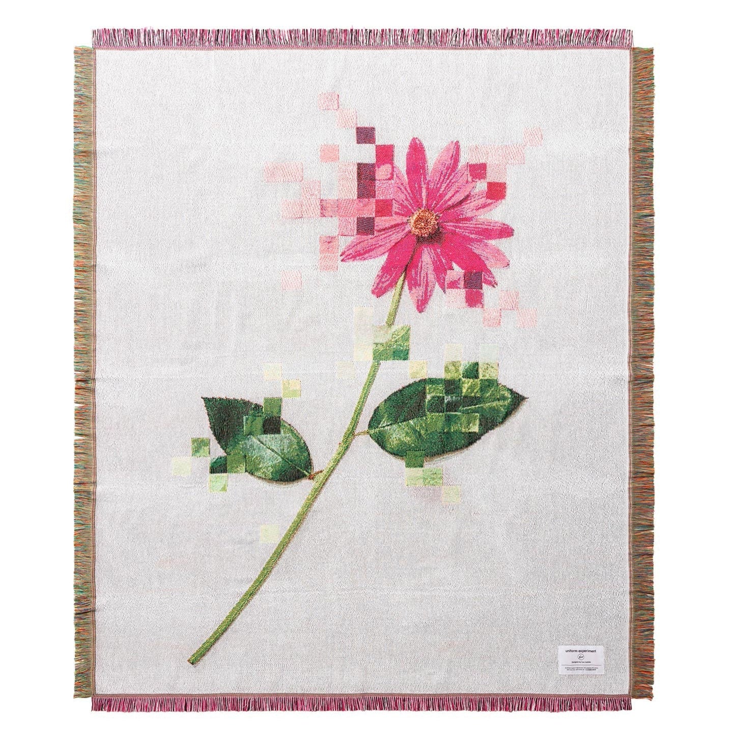 uniform experiment – Tagged / 標記 