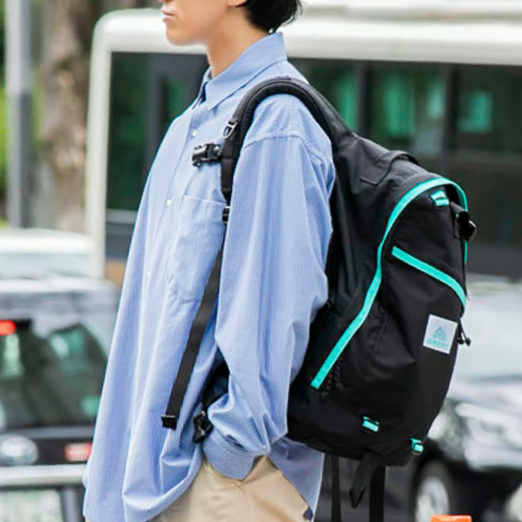 GREGORY x NAUGHTIAM DAYPACK 26L cotwohk