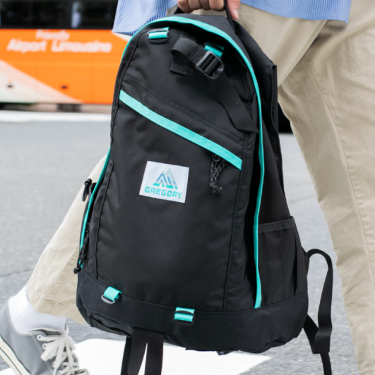 GREGORY x NAUGHTIAM DAYPACK 26L cotwohk
