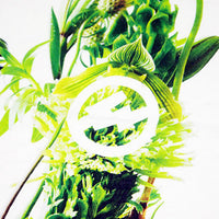 the POOL aoyama AMKK PROJECT x fragment design FRGMT TEE (Green)
